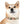 Colorful Paw Print Dog Collar - Waterproof Tpu - Dipaliz - Standard Collars