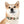 Colorful Paw Print Dog Collar - Waterproof Tpu - Dipaliz - Standard Collars