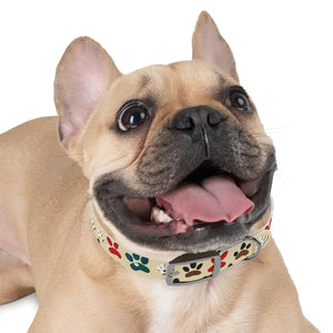 Colorful Paw Print Dog Collar - Waterproof Tpu - Dipaliz - Standard Collars