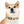 Colorful Paw Print Dog Collar - Waterproof Tpu - Dipaliz - Standard Collars