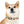 Colorful Paw Print Dog Collar - Waterproof Tpu - Dipaliz - Standard Collars