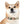 Colorful Paw Print Dog Collar - Waterproof Tpu - Dipaliz - Standard Collars