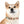 Colorful Paw Print Dog Collar - Waterproof Tpu - Dipaliz - Standard Collars