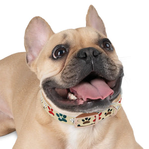 Colorful Paw Print Dog Collar - Waterproof Tpu - Dipaliz - Standard Collars