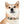 Colorful Paw Print Dog Collar - Waterproof Tpu - Dipaliz - Standard Collars