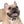 Colorful Paw Print Dog Collar - Waterproof Tpu - Dipaliz - Standard Collars