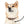 Waterproof Paw Print Dog Leash - Zinc Alloy Hook - Dipaliz - Pet Leashes