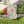 Garden Retreat Banner – Poly Poplin Canvas - Dipaliz - Flags & Windsocks