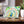 Vibrant Peacock Ceramic Photo Tile 6x6 Wall Decor Dipaliz - Tiles