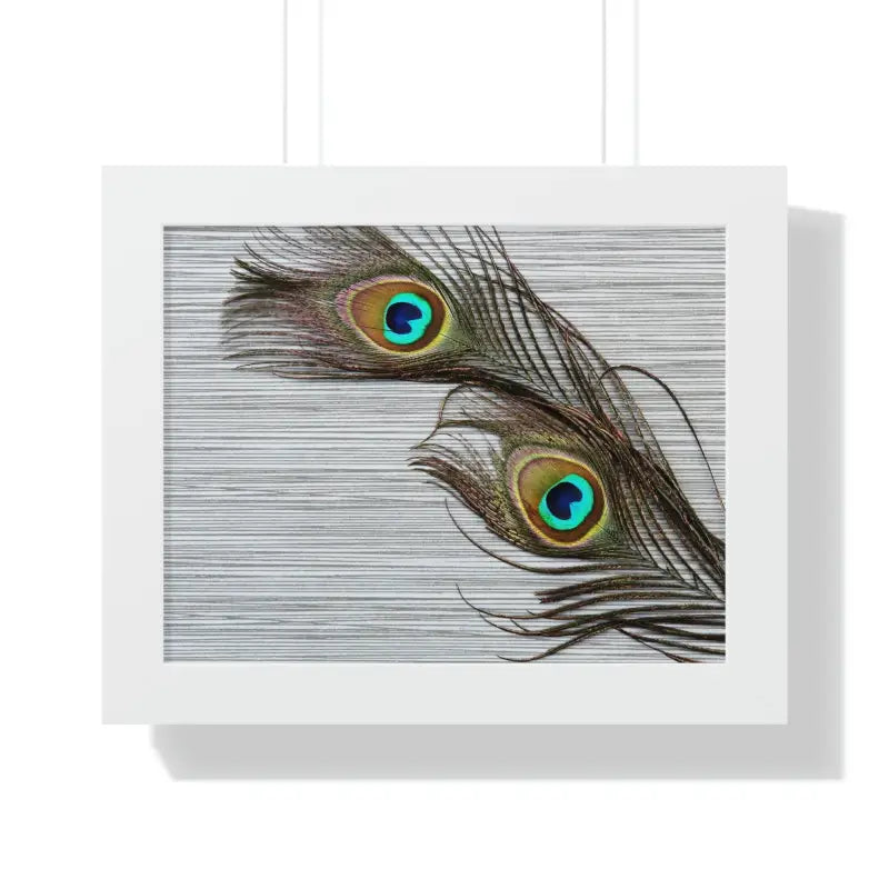 Peacock Feathers: Stunning Framed Horizontal Wall Art - 14″ × 11″ / White Poster