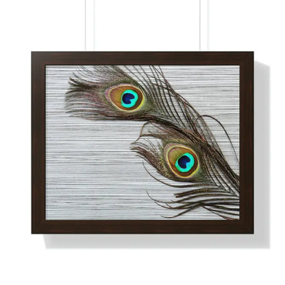 Peacock Feathers: Stunning Framed Horizontal Wall Art - 20’’ × 16’’ / Walnut Poster