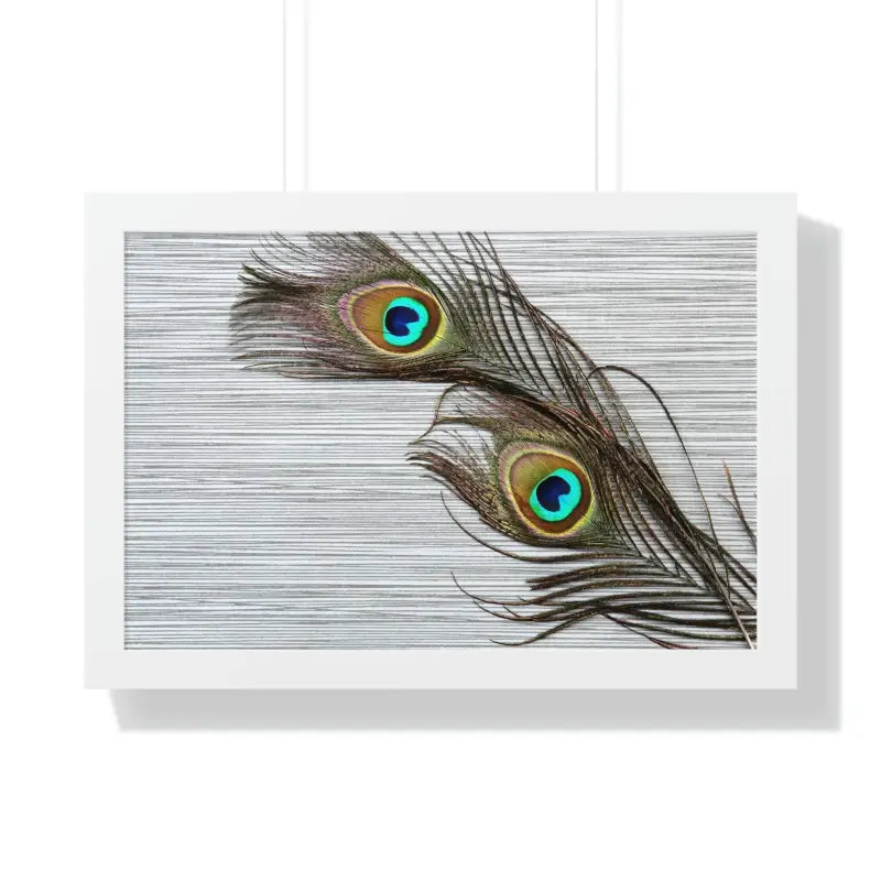 Peacock Feathers: Stunning Framed Horizontal Wall Art - 24″ × 16″ / White Poster