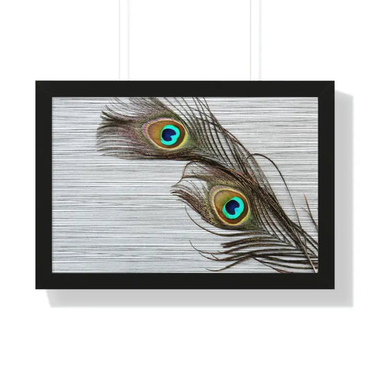 Peacock Feathers: Stunning Framed Horizontal Wall Art - 24″ × 16″ / Black Poster