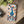 Peacock Flexi Cases - Stylish Clear Tpu Protection - Dipaliz - Mobile Phone