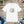 Soft Cotton Floral Peacock Tee - Quality Print - Dipaliz - T-shirts