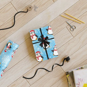 Wrapping Paper - Satin Finish Sustainably Sourced - Dipaliz