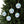 Acrylic Ornament Styles – Winter Wonderland - Dipaliz - Holiday Hooks