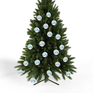 Acrylic Ornament Styles – Winter Wonderland - Dipaliz - Holiday Hooks