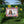 Personalized 16th Birthday Yard Sign Sweet Sixteen - Dipaliz - Sidewalk & Signs