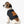 Retro Graphic Dog Shirt - Combed Ringspun Cotton - Dipaliz - Pet Shirts