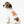 Retro Graphic Dog Shirt - Combed Ringspun Cotton - Dipaliz - Pet Shirts