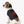 Soft Pet Tank - Loved Heart Print Rib Knit - Dipaliz - Shirts