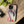 Protective Pink Flamingo Samsung Galaxy Case - Dipaliz - Mobile Phone Cases