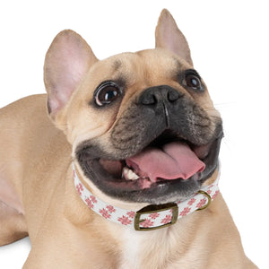 Waterproof Pink Floral Dog Collar - Poinsettia Tpu - Dipaliz - Standard Collars