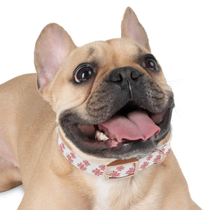 Waterproof Pink Floral Dog Collar - Poinsettia Tpu - Dipaliz - Standard Collars