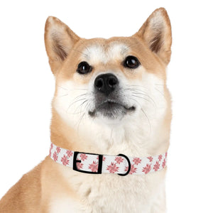 Waterproof Pink Floral Dog Collar - Poinsettia Tpu - Dipaliz - Standard Collars