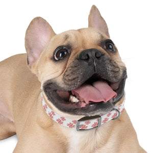 Waterproof Pink Floral Dog Collar - Poinsettia Tpu - Dipaliz - Standard Collars