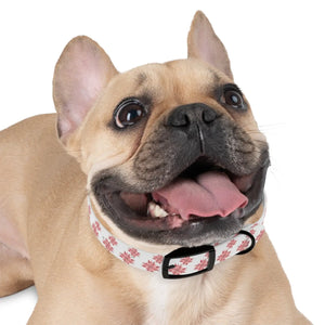 Poinsettia pattern waterproof TPU dog collar by DipaliZ