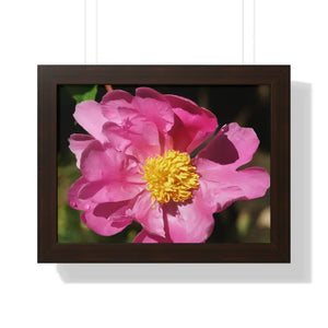 Pink Flower Gallery Canvas Wraps - Framed Horizontal Poster - Dipaliz - 16″ x 12″ / Walnut - Posters Prints & Visual
