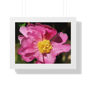 Pink Flower Gallery Canvas Wraps - Framed Horizontal Poster - Dipaliz - 16″ x 12″ / White - Posters Prints & Visual