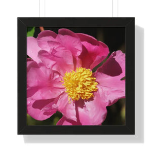 Pink Flower Gallery Canvas Wraps - Framed Horizontal Poster - Dipaliz - 16″ x / Black - Posters Prints & Visual Artwork