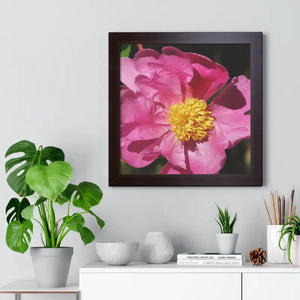 Pink Flower Gallery Canvas Wraps - Framed Horizontal Poster - Dipaliz - 16″ x / Walnut - Posters Prints & Visual Artwork
