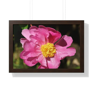 Pink Flower Gallery Canvas Wraps - Framed Horizontal Poster - Dipaliz - 24″ x 16″ / Walnut - Posters Prints & Visual