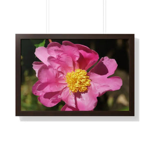 Pink Flower Gallery Canvas Wraps - Framed Horizontal Poster - Dipaliz - 30’’ x 20’’ / Walnut - Posters Prints & Visual