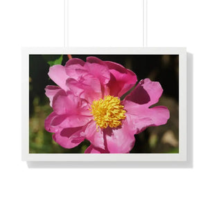 Pink Flower Gallery Canvas Wraps - Framed Horizontal Poster - Dipaliz - 30’’ x 20’’ / White - Posters Prints & Visual