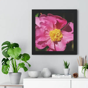 Pink Flower Gallery Canvas Wraps - Framed Horizontal Poster - Dipaliz - Posters Prints & Visual Artwork