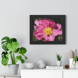 Pink Flower Gallery Canvas Wraps - Framed Horizontal Poster - Dipaliz - Posters Prints & Visual Artwork