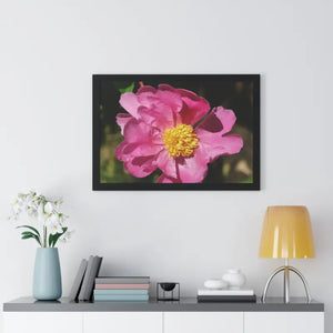 Pink Flower Gallery Canvas Wraps - Framed Horizontal Poster - Dipaliz - Posters Prints & Visual Artwork
