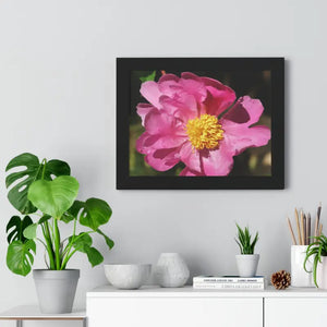 Pink Flower Gallery Canvas Wraps - Framed Horizontal Poster - Dipaliz - Posters Prints & Visual Artwork