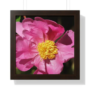 Pink Flower Gallery Canvas Wraps - Framed Horizontal Poster - Dipaliz - Posters Prints & Visual Artwork