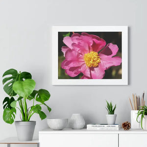 Pink Flower Gallery Canvas Wraps - Framed Horizontal Poster - Dipaliz - Posters Prints & Visual Artwork