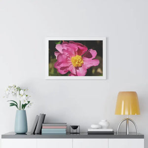 Pink Flower Gallery Canvas Wraps - Framed Horizontal Poster - Dipaliz - Posters Prints & Visual Artwork