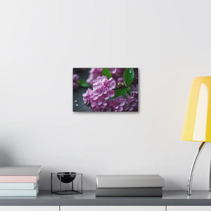 Pink Lilac Flowers Canvas – Semi-glossy Finish - Dipaliz - Prints