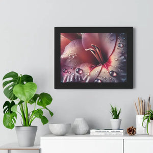 Stunning Pink Lilly Gallery Canvas Framed Horizontal Poster - Dipaliz - Prints