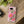 Pink Peony Tough Phone Case, Floral Protective Cover - Mobile Cases