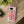 Pink Peony Tough Phone Case, Floral Protective Cover - Mobile Cases